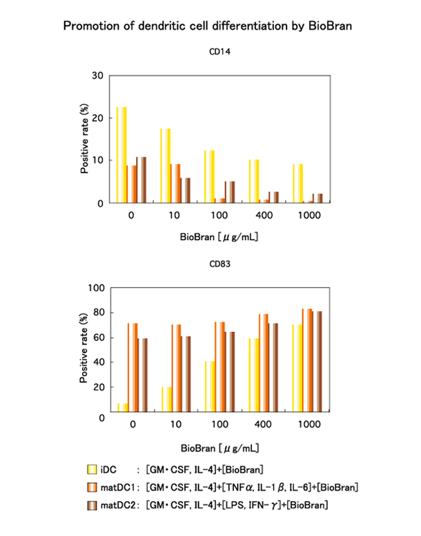 Promotion of differentiation of dendritic cells