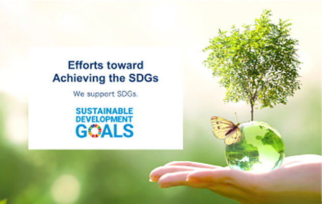Efforts toward Achieving the SDGs.