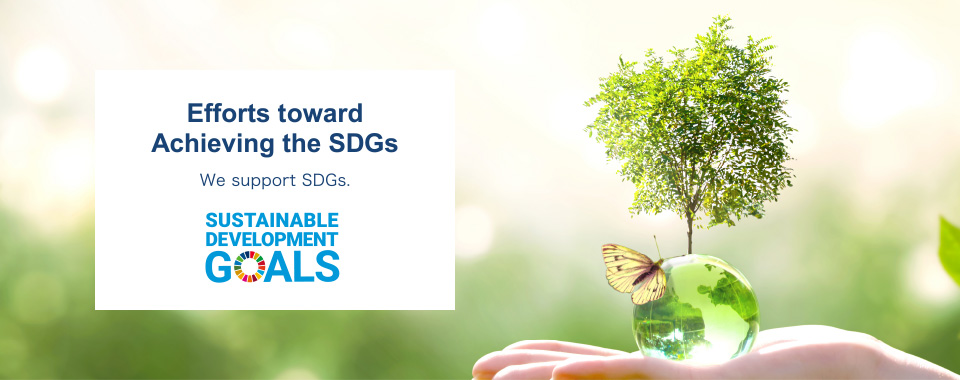Efforts toward Achieving the SDGs