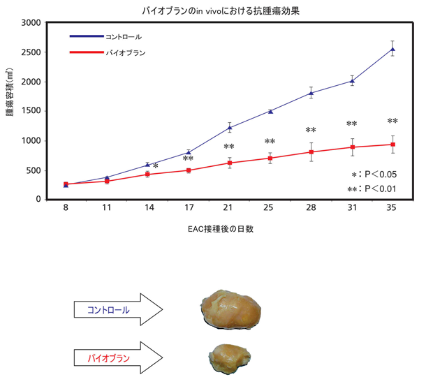 バイオブランのin vivoにおける抗腫瘍効果