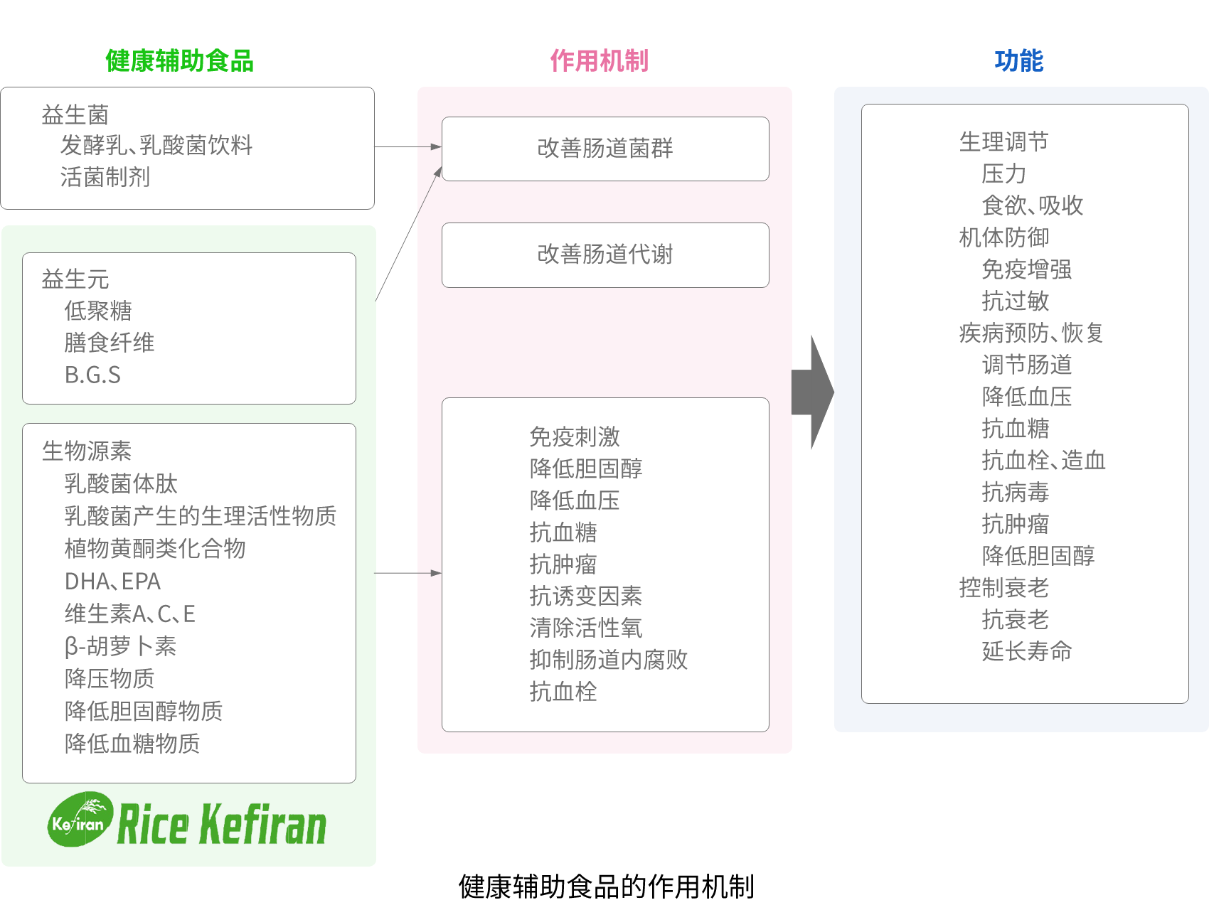 Rice Kefiran的作用
