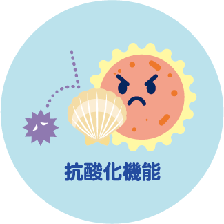 抗酸化機能イメージ