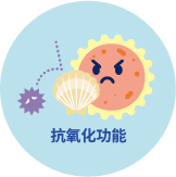 抗氧化功能