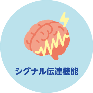 シグナル伝達機能イメージ