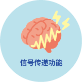 信号传递功能
