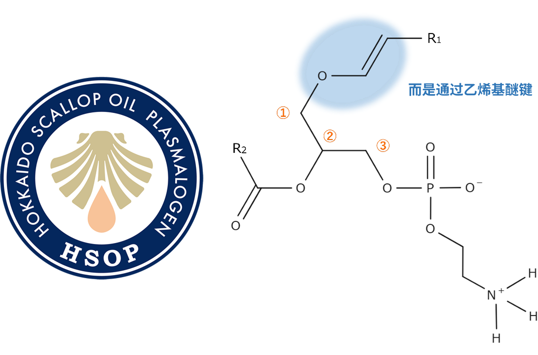化学式