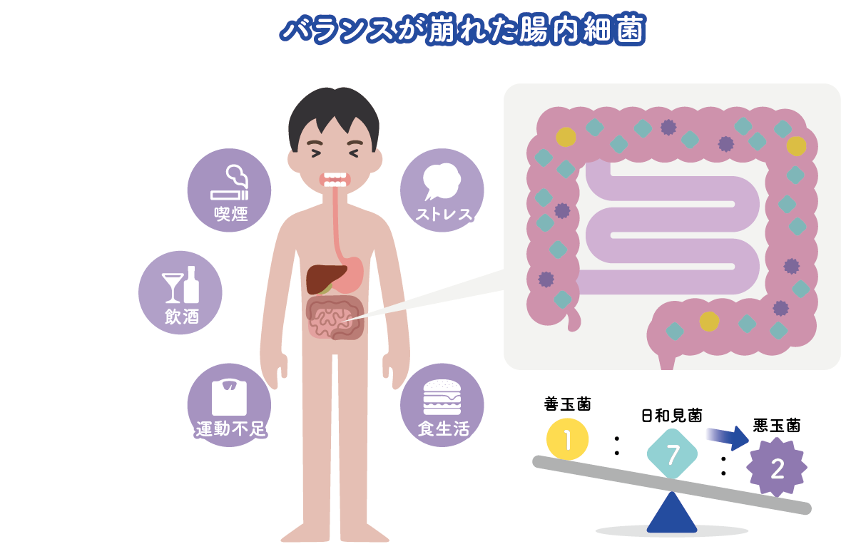 腸内細菌について