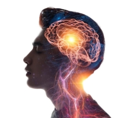 話せる言語数が多いほど脳年齢は若い？